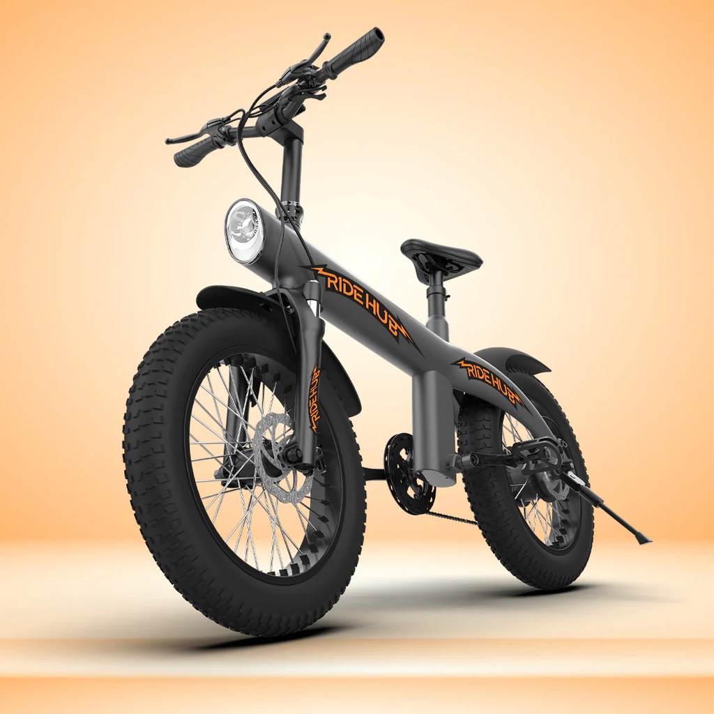 Electric Bike Rental